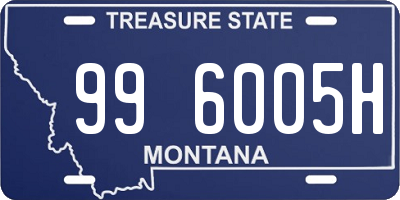 MT license plate 996005H