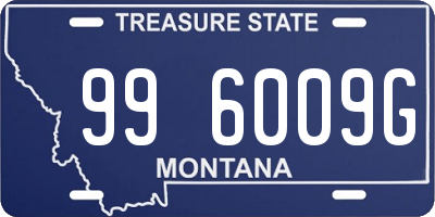 MT license plate 996009G