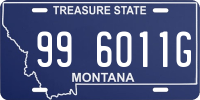 MT license plate 996011G