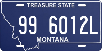 MT license plate 996012L