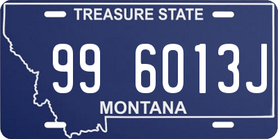 MT license plate 996013J