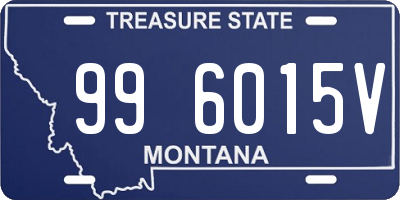 MT license plate 996015V