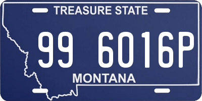 MT license plate 996016P