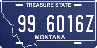 MT license plate 996016Z