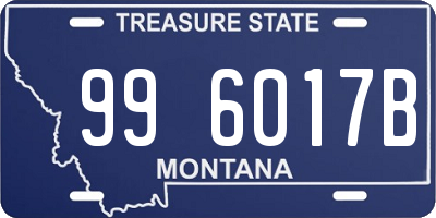 MT license plate 996017B