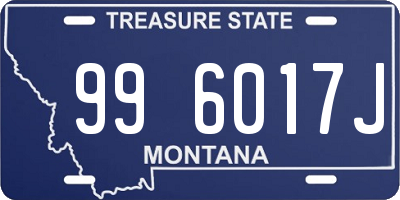 MT license plate 996017J
