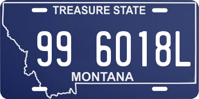 MT license plate 996018L