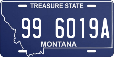 MT license plate 996019A