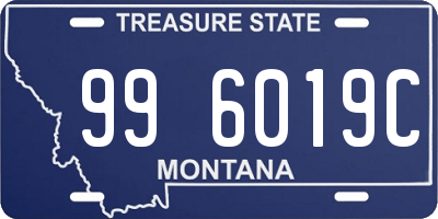 MT license plate 996019C