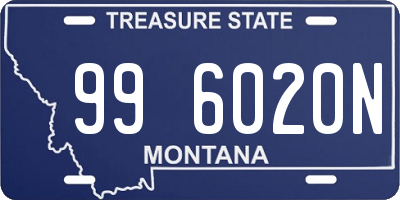 MT license plate 996020N