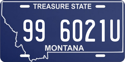 MT license plate 996021U