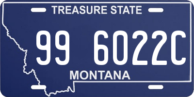 MT license plate 996022C