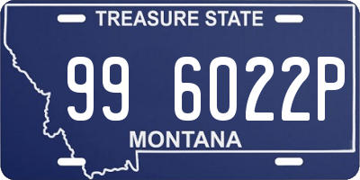 MT license plate 996022P