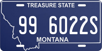 MT license plate 996022S