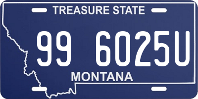 MT license plate 996025U