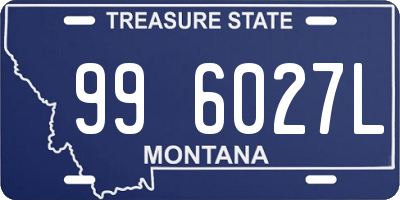 MT license plate 996027L