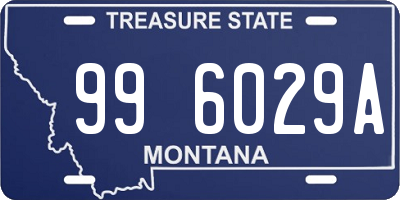 MT license plate 996029A