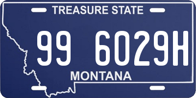 MT license plate 996029H