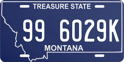 MT license plate 996029K