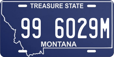MT license plate 996029M