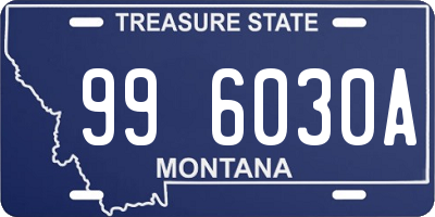 MT license plate 996030A