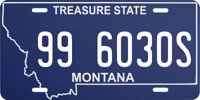 MT license plate 996030S