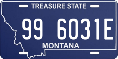 MT license plate 996031E