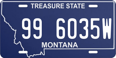 MT license plate 996035W