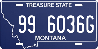 MT license plate 996036G