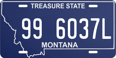 MT license plate 996037L