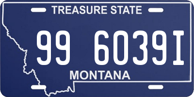 MT license plate 996039I