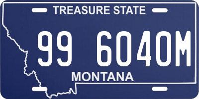 MT license plate 996040M