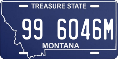 MT license plate 996046M