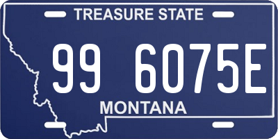 MT license plate 996075E