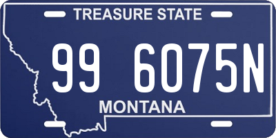 MT license plate 996075N