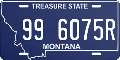 MT license plate 996075R