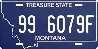 MT license plate 996079F