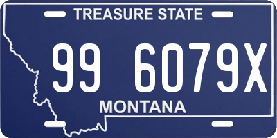 MT license plate 996079X