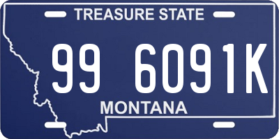 MT license plate 996091K