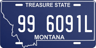 MT license plate 996091L