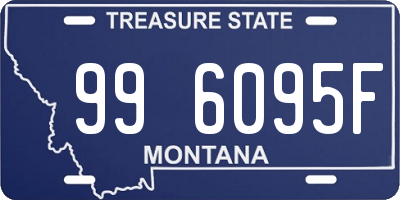 MT license plate 996095F