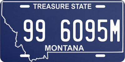 MT license plate 996095M