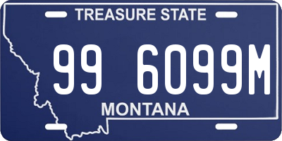 MT license plate 996099M