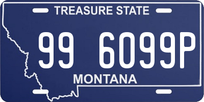 MT license plate 996099P