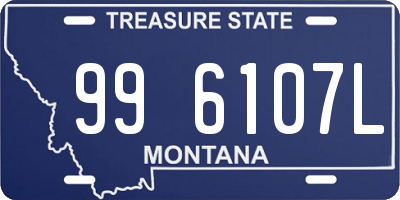 MT license plate 996107L