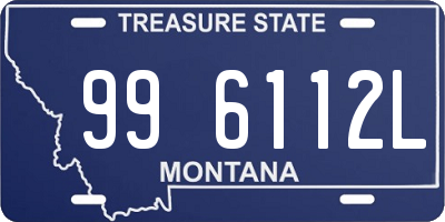 MT license plate 996112L