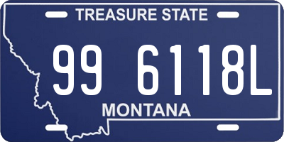 MT license plate 996118L