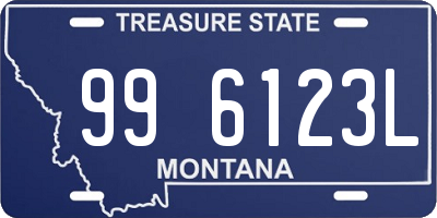 MT license plate 996123L