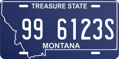 MT license plate 996123S