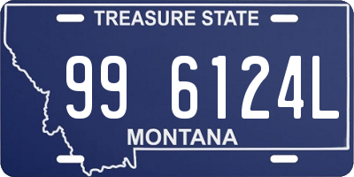 MT license plate 996124L